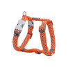 Harnais Chien Snake Eyes Orange Large RED DINGO