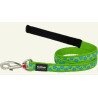 Laisse Confort Chien Étoiles Turquoise Vert Citron S RED DINGO