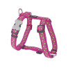 Harnais Chien Etoiles Vert avec Rose XS 12 mm RED DINGO