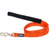 Laisse Chien Medium Orange Uni 20 mm RED DINGO