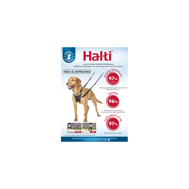 Harnais pour Chien Halti No Pull M Noir Company of Animals