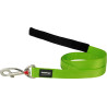 Laisse Chien Medium Vert Unise 20 mm RED DINGO