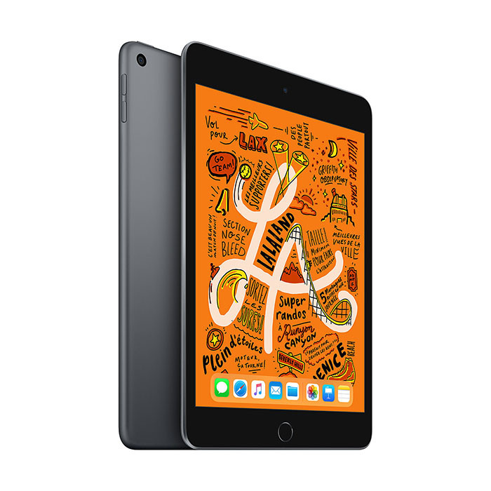 Apple Ipad Mini (2021) 8,3 Wifi - 256 Go - Gris Sidéral - La Poste