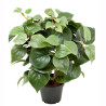 Philodendron artificiel en pot H 35 cm - 49260