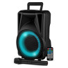 Enceinte Portable Amplifiée 200W LED - FESTISOUND - FESTI08