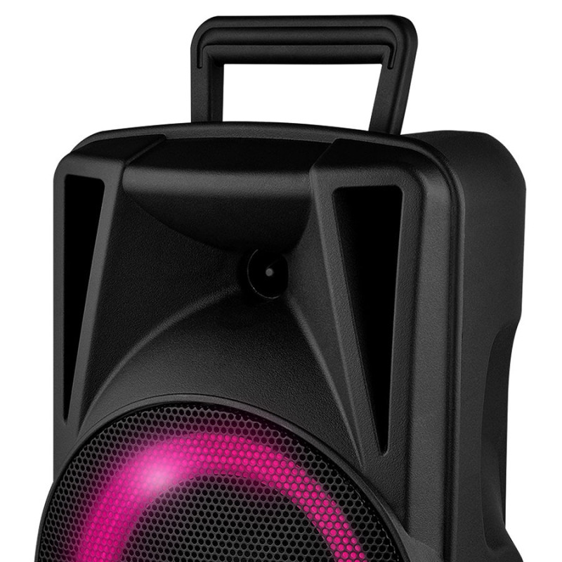 Enceinte Portable Amplifiée 200W LED - FESTISOUND - FESTI08