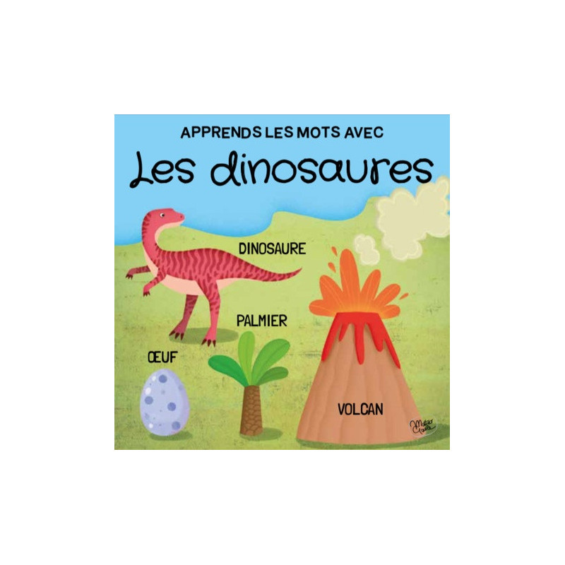 Q-BOX - Les Dinosaures SASSI JUNIOR - dès 4 ans