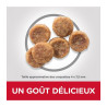 CROQUETTE ADULTE SMALL POULET 3KG CHIEN HILL'S SCIENCE PLAN