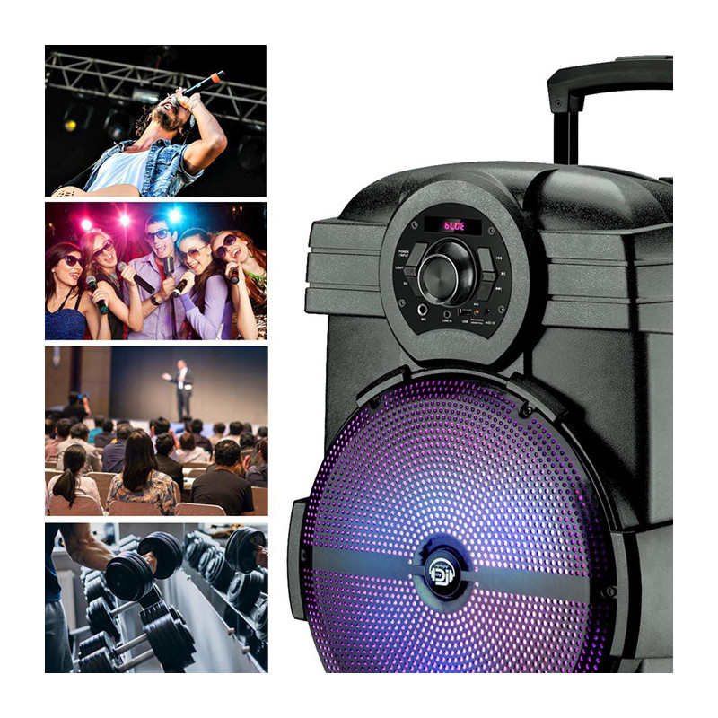 Enceinte à LED 600W Brozy12 Pilotable Noir - MYDJ - BROZY12