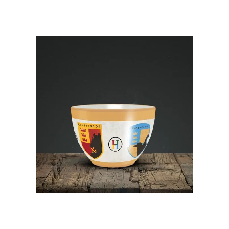 Mug Harry Potter Maisons Poudlard Unique 630 mL - PYRAMID INTERNATIONAL - SCMG25950