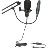 Microphone USB Condensateur pour Enregistrement/Streaming/Podcast Noir - IBIZA SOUND - STM200-PLUS