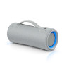 Enceinte Portable sans fil Bluetooth 5.2 Gris - SONY - SRSXG300H-EU8