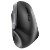 Souris ergonomique sans fil pour droitier 1200 DPI Noir - CHERRY - SOU_CHERRY_MW4500R