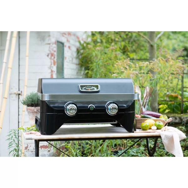 BBQ barbecue jardin terrasse Brûleur Barbecue Grill de Housse Cover étanche  Vert