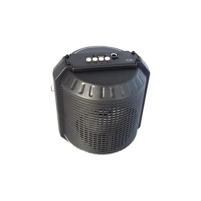 Enceinte lumineuse karaoke Bluetooth 20W Noir - INOVALLEY - INHP74BTH