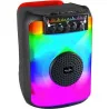 Enceinte Karaoké Bluetooth V5.0 40W Noir - INOVALLEY - INFIRE01