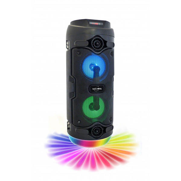 Micro sans Fil Karaoke Avec Haut-Parleur Caisse Intégré Bluetooth de Poche