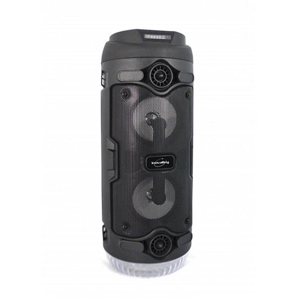 Enceinte pour Salle de Bain Hi-FI Enceinte Bluetooth 5.0 Portable avec  Câble de Charge, Haut-Parleur Bluetooth Poche, Batterie Intégré, pour Salle  de Bain, Voiture, Sports - Dragon Noir 