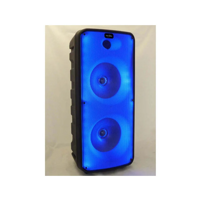 Enceinte Lumineuse Karaoké RGB Noir - INOVALLEY - INKA20RGB