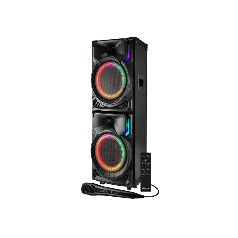 Enceinte audio Active High Power 500W Noir - PICKERING - SOUNDMAGIC500