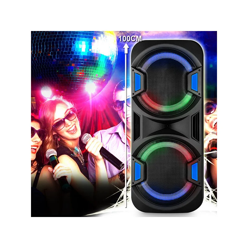 Enceinte Amplifiée Mega 1000W Noir - FESTI SOUND - FESTI215