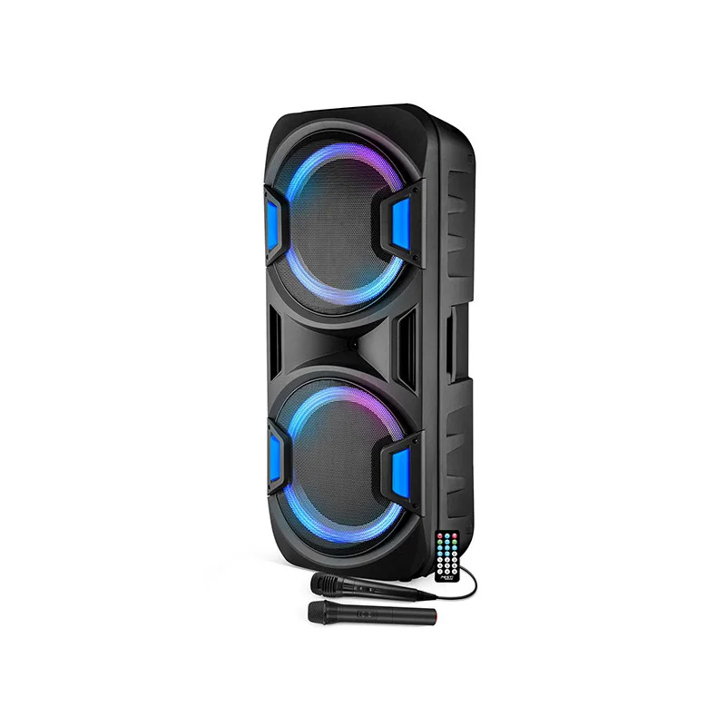 Enceinte Amplifiée Mega 1000W Noir - FESTI SOUND - FESTI215