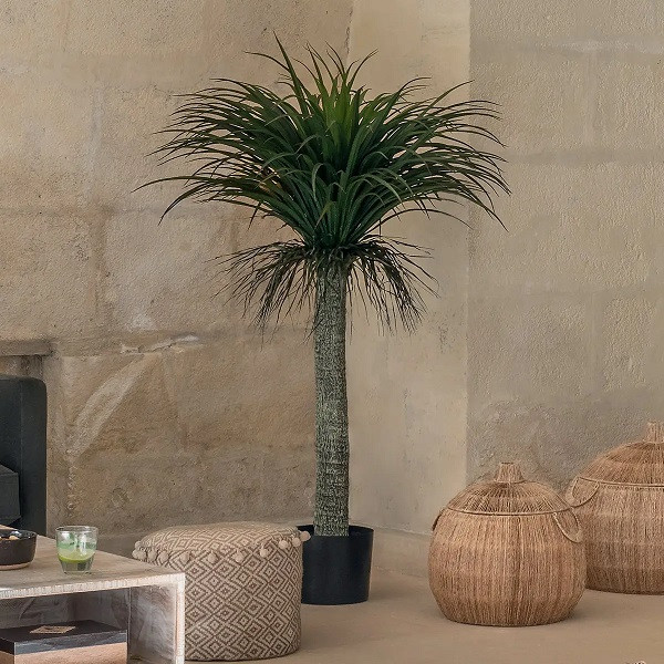 Plante Artificielle d'Intérieur Palmiers - 150cm