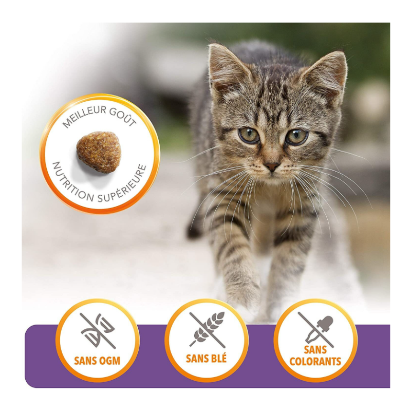 Croquettes Chaton Vitality Poulet 1,5 kg - IAMS