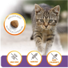 Croquettes Chaton Vitality Poulet 1,5 kg - IAMS