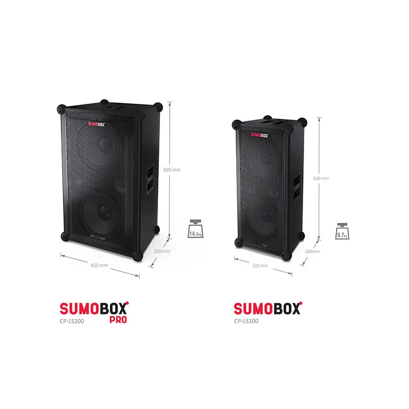 Haut-parleur portable SumoBox 120W Noir - SHARP - CP-LS100