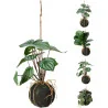 Plante artificielle en ampel 30cm - HOME & STYLE - 319000710