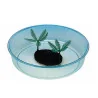 Terrarium pour tortues Ponza 35x9cm - MARCHIORO - MCO-PON2CHI