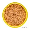 Nourriture pour poissons ProNovo Betta Insect Stick S 10g - JBL - JBL-3117000