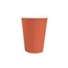 Set de 10 Gobelets en carton Rainbow 250mL Terracotta - SANTEX - 7410-51