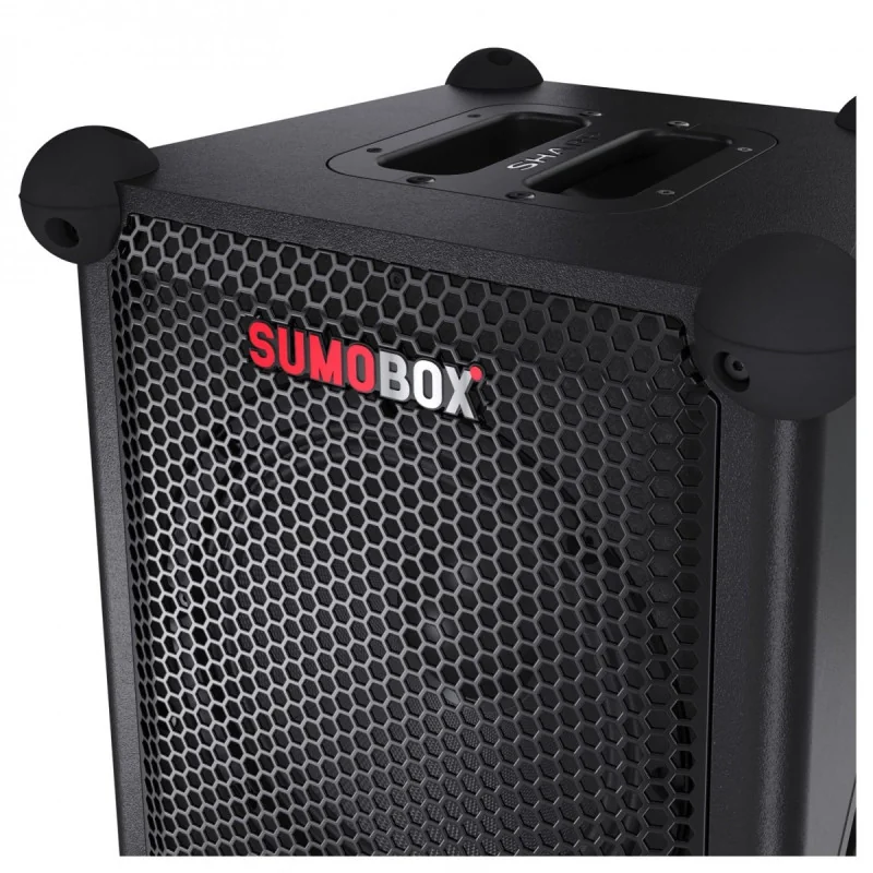 Enceinte Portable SumoBox 200W Noir - SHARP - CP-LS200