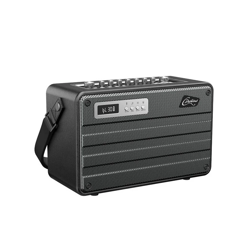 Enceinte sono portable Roady FLi Noir - C.PERKINS - ROADYFL