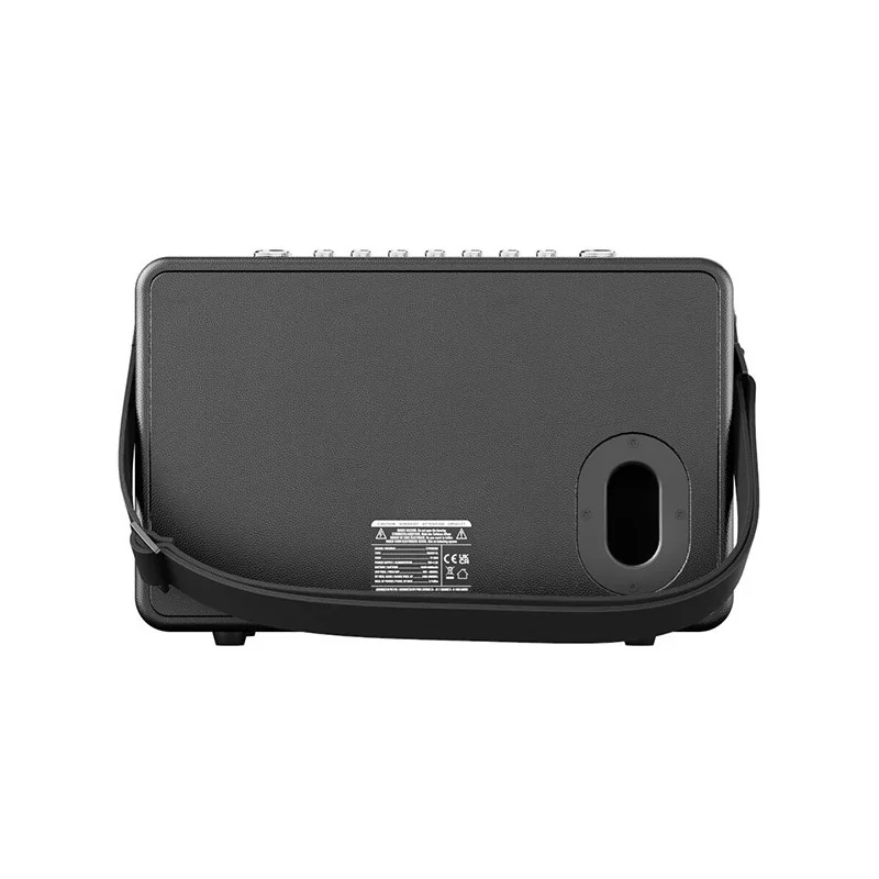 Enceinte sono portable Roady FLi Noir - C.PERKINS - ROADYFL