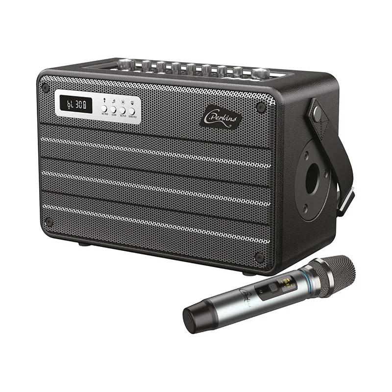 Enceinte sono portable Roady FLi Noir - C.PERKINS - ROADYFL