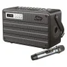 Enceinte sono portable Roady FLi Noir - C.PERKINS - ROADYFL