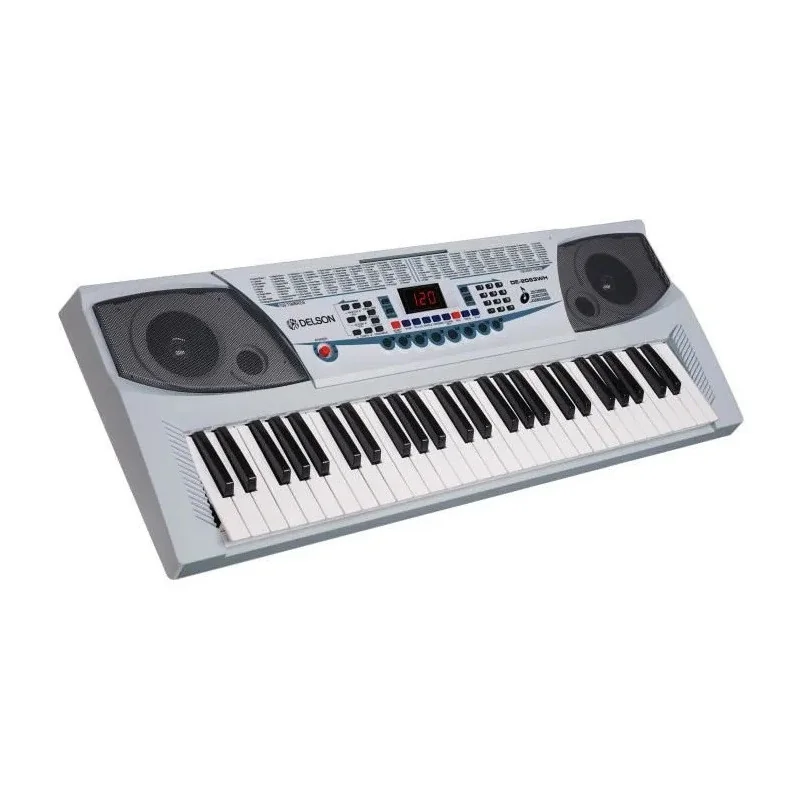 Clavier 54 touches Gris - DELSON - DE2083SL