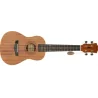 ARROW UKULELE ANIMA