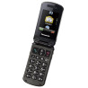 Téléphone Portable Clapet Noir Panasonic - KXTU339EXBEFR