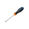 Tournevis Torx T05, L.60 Mm Dexter