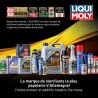 Huile moteur Synthoil Race Tech GT1 10W-60 1L - LIQUI MOLY - 8909