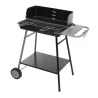 BBQ Charbon Torino 56 x 41 cm