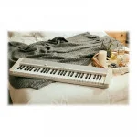 Clavier arrangeur 61 touches Blanc - CASIO - CTS1WE