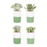 Plante Grassia en plastique et papier 6x12cm - 73553