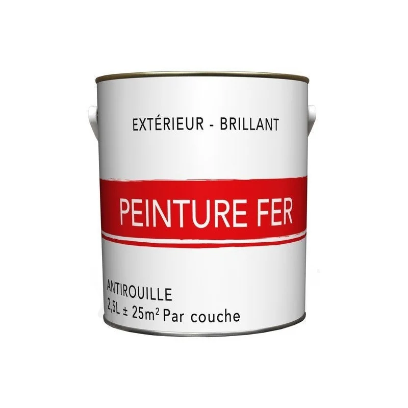 Peinture Fer Extérieur Blanc Glossy 2.5 L