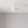 Ventilateur de plafond plafonnier + éclairage LED - NOTOS