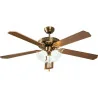 Ventilateur de plafond Reunion 5 pales 60W Rotin - INSPIRE